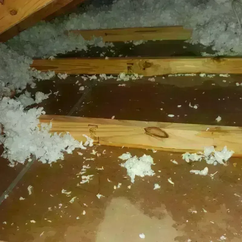 Attic Water Damage in Columbia, IL