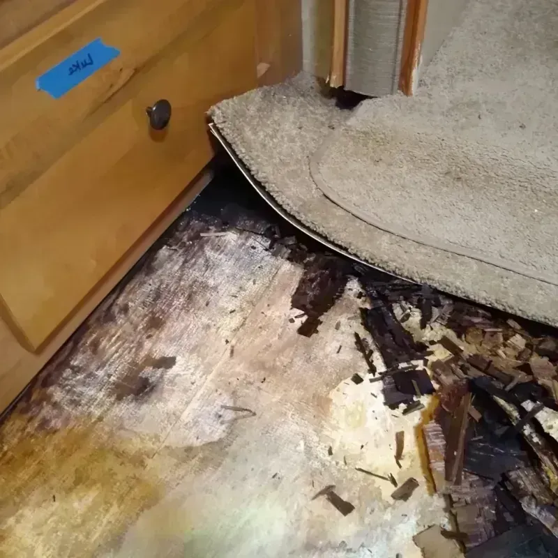 Wood Floor Water Damage in Columbia, IL